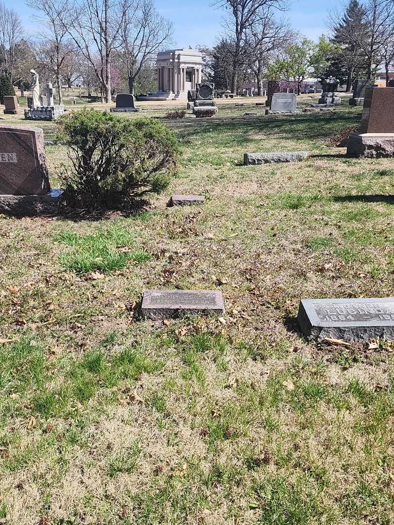John Homer Goheen's grave. Photo 2