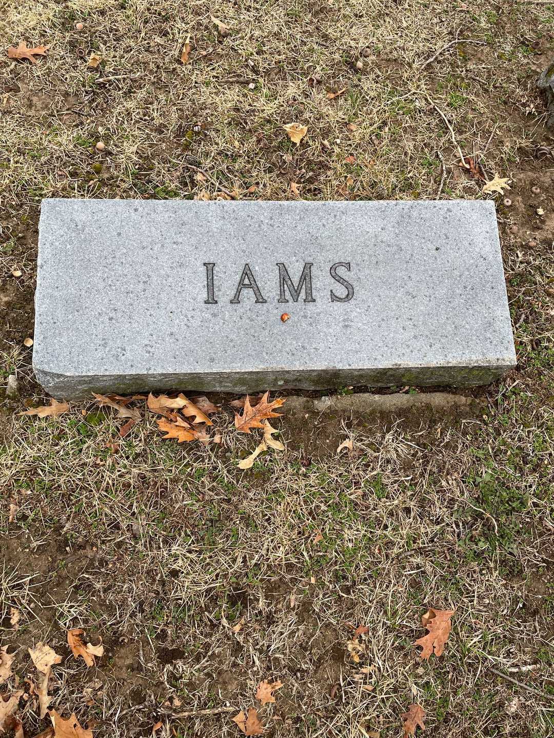 Virgil M. Iams's grave. Photo 1