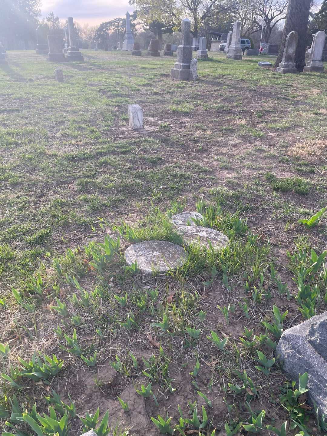 Percy Hacker's grave. Photo 2