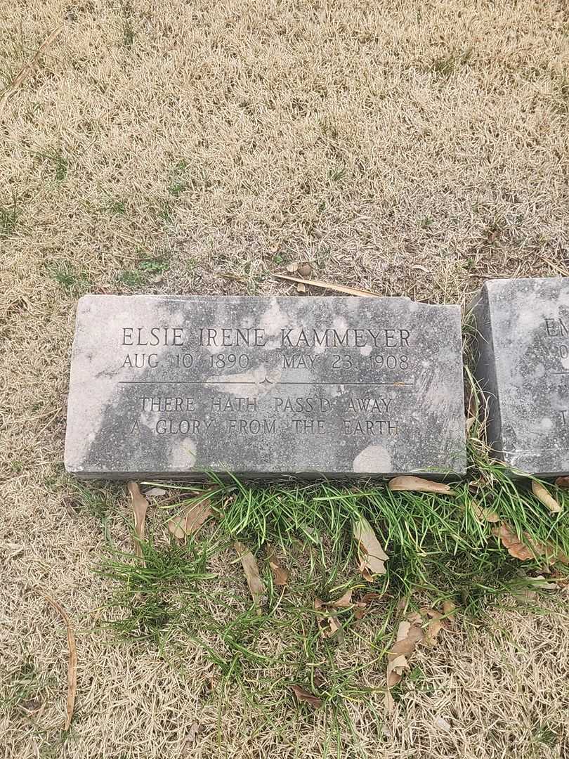 Elise Irene Kammeyer's grave. Photo 3
