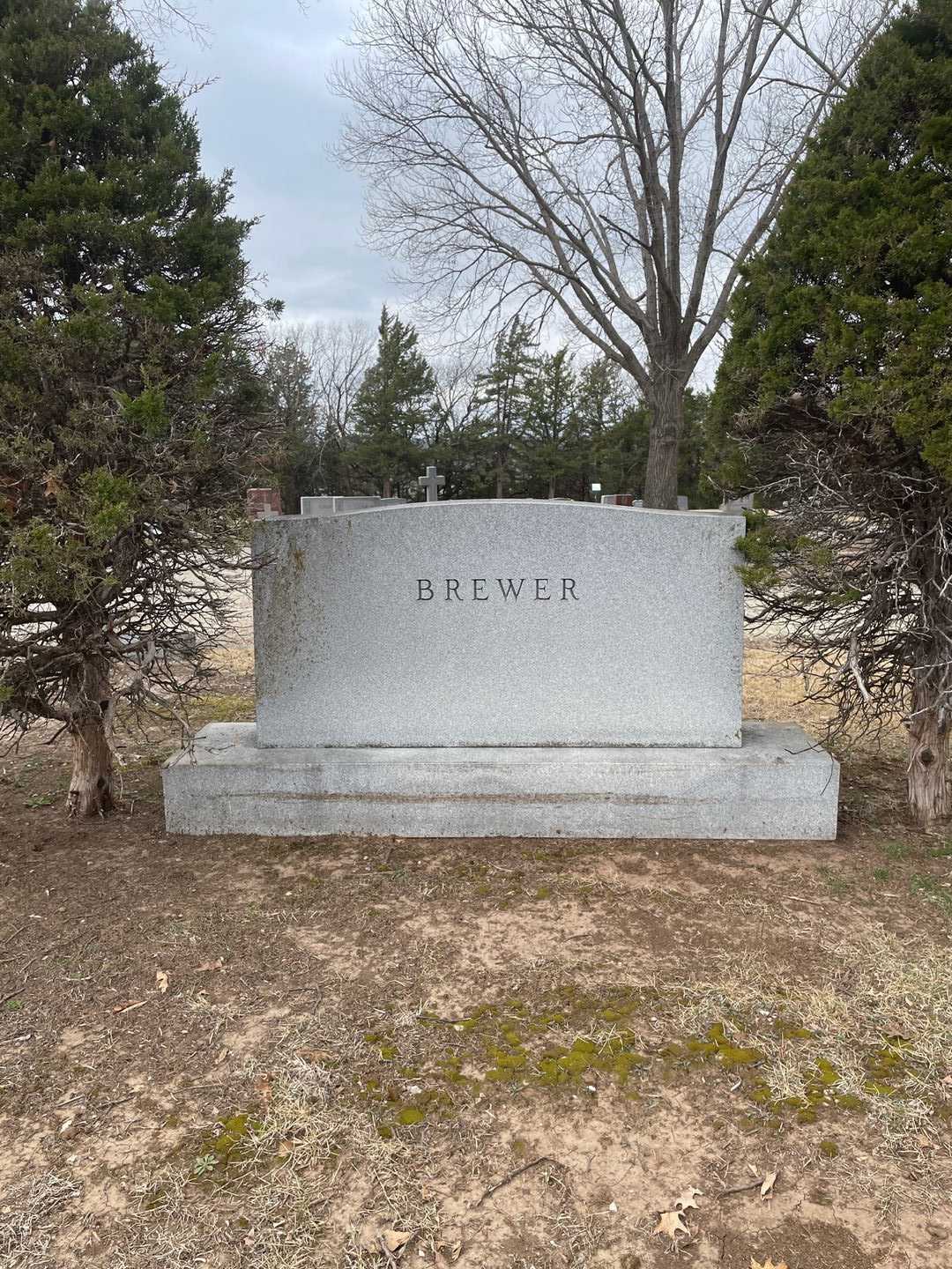 Verna A. Y. Brewer's grave. Photo 1