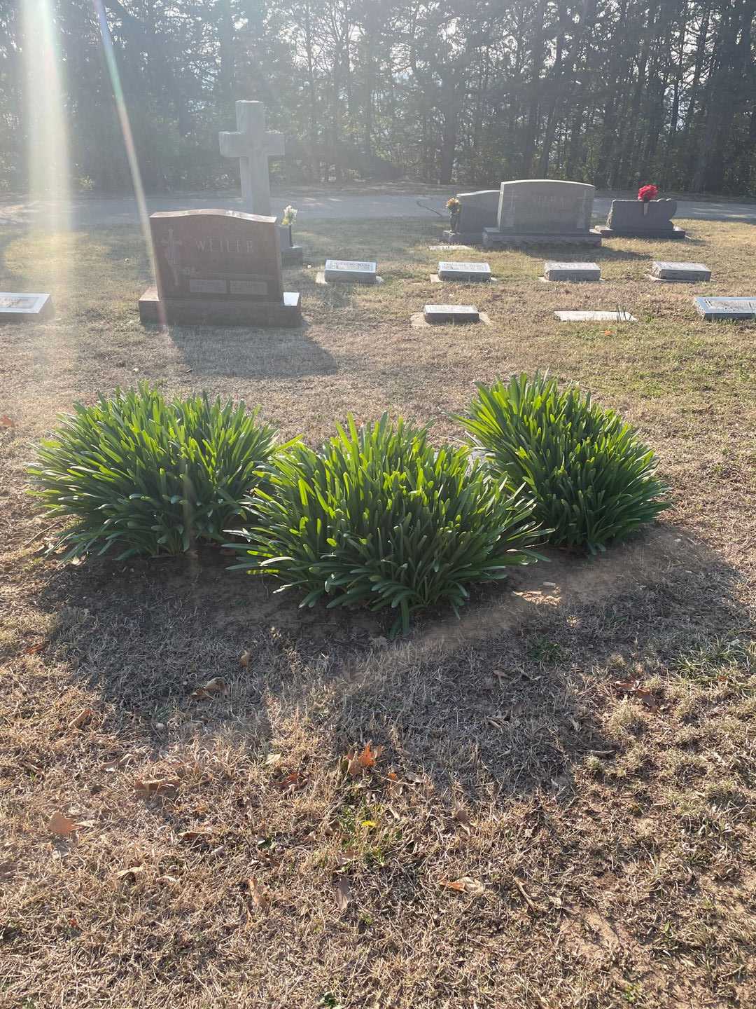 John M. O'Brien's grave. Photo 2