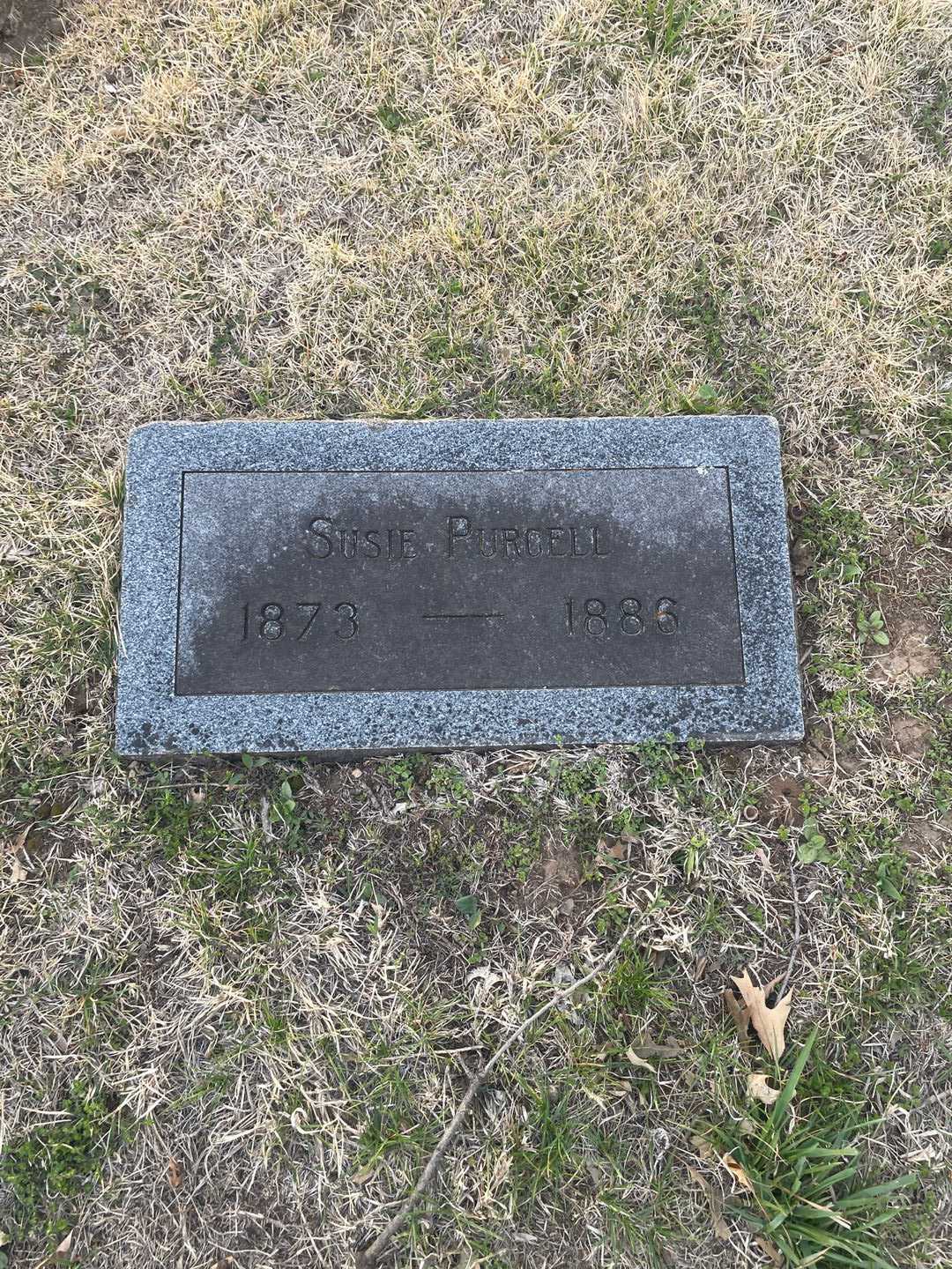 Susie Purcell's grave. Photo 3