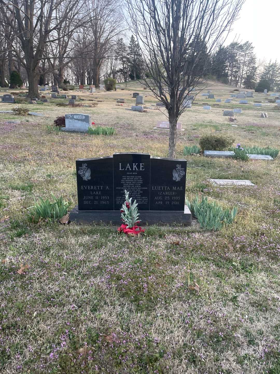 Luetta Mae Zarger Lake's grave. Photo 2
