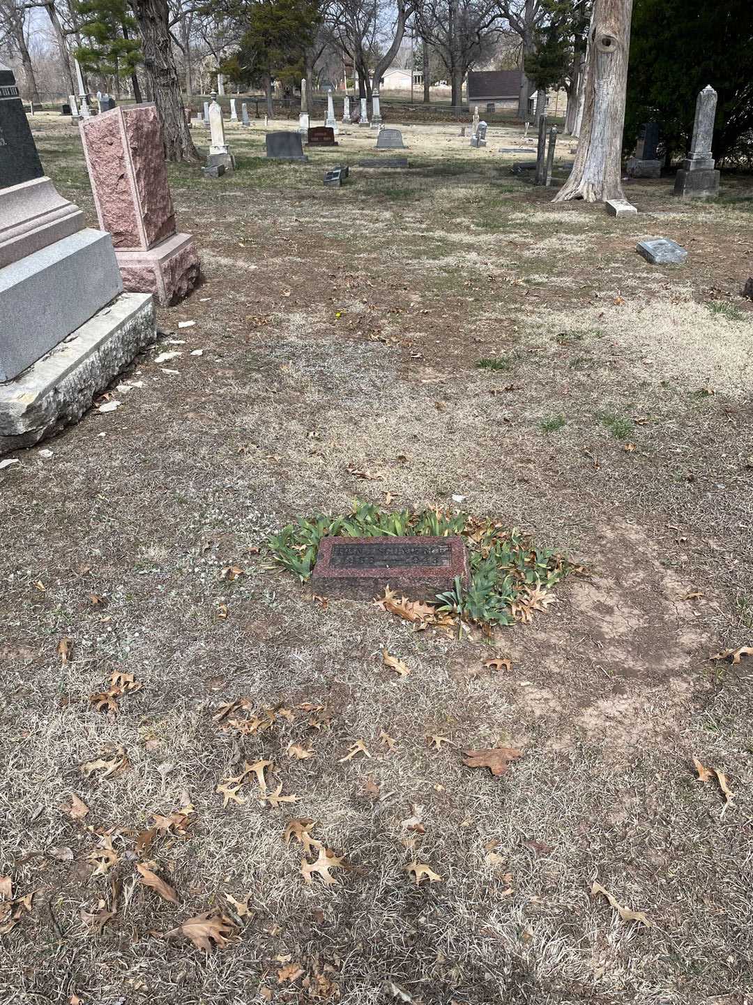 Benjamin Schnierle's grave. Photo 2