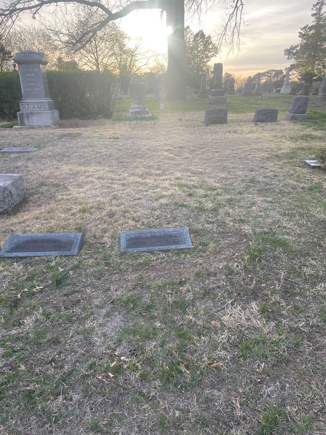 Mary Caldwell Purcell's grave. Photo 2