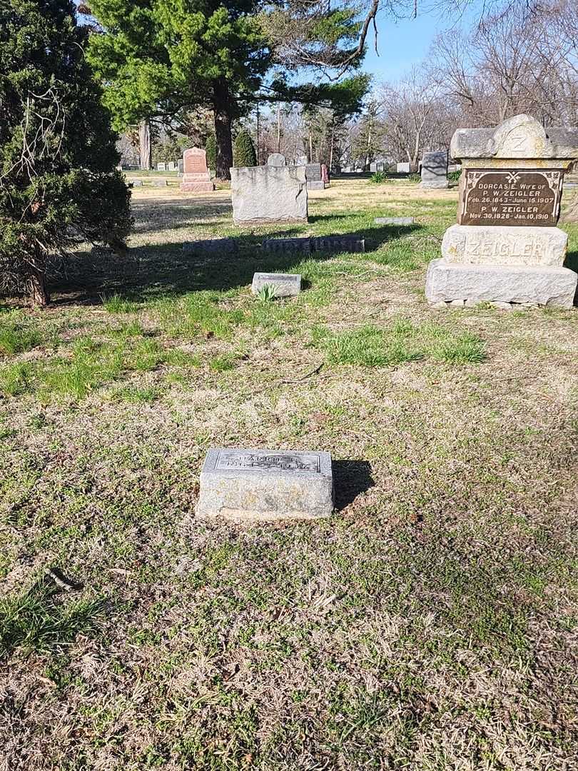 Harrie N. Zeigler's grave. Photo 2