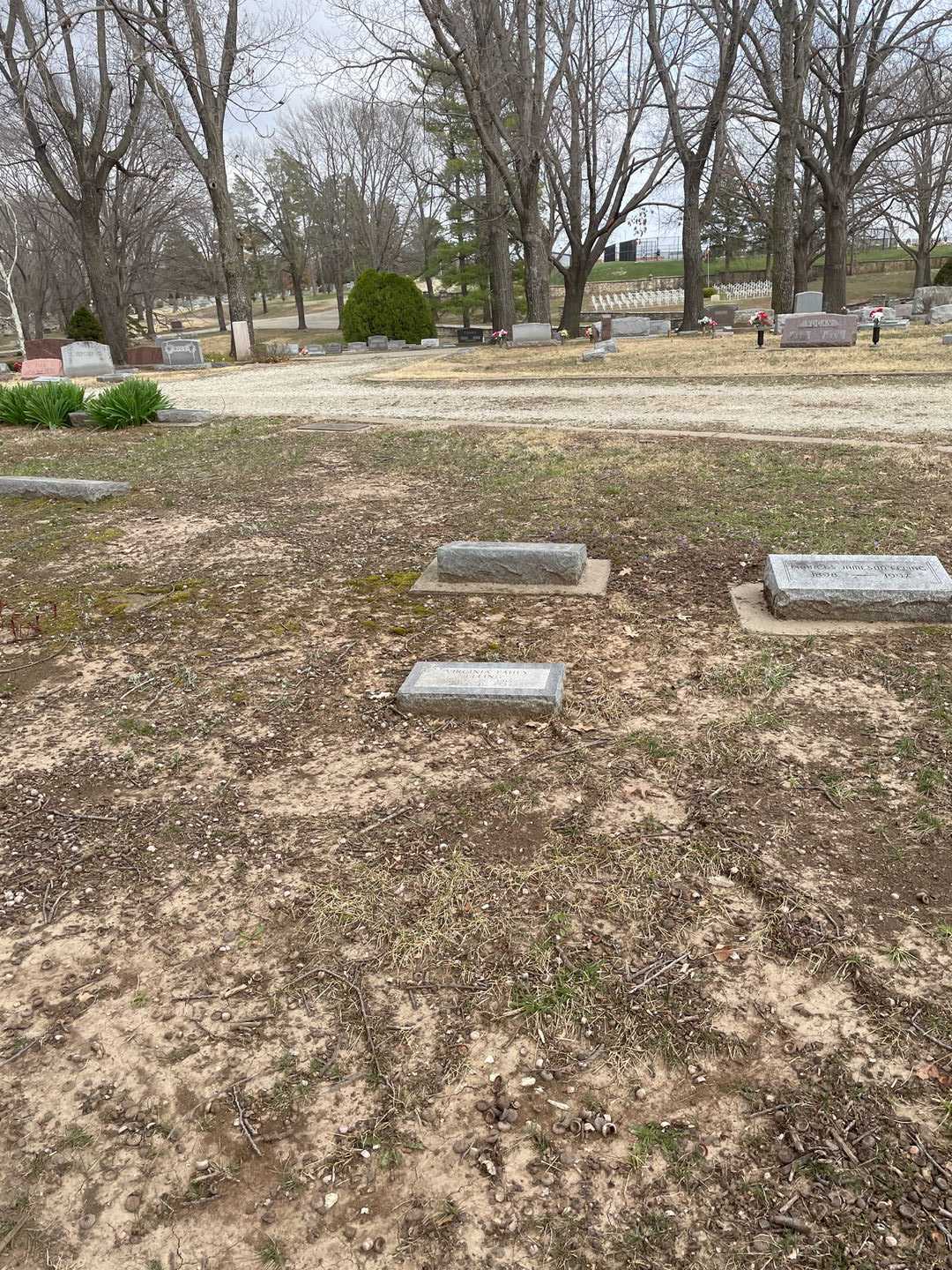 Virginia Fahey Elling's grave. Photo 2