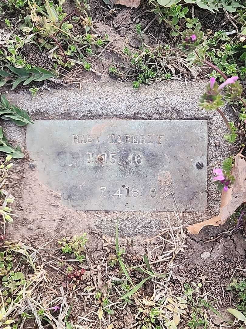 Curtis Lynn Tabery's grave. Photo 1