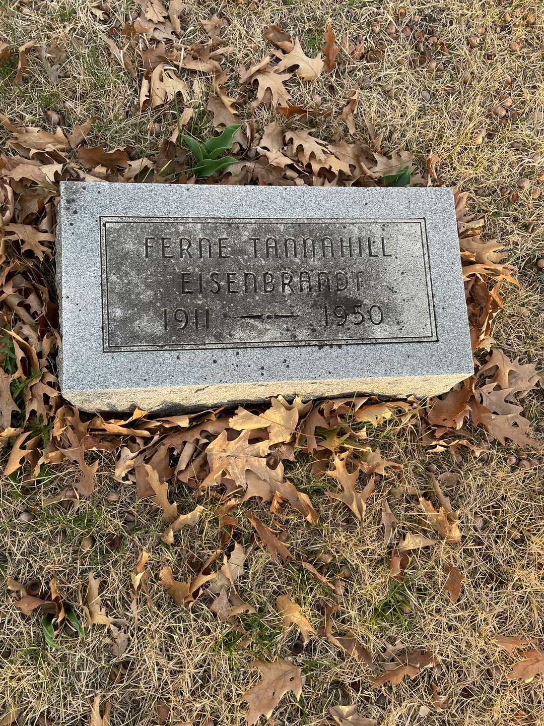 Ferne E. Tannahill Eisenbrandt's grave. Photo 1