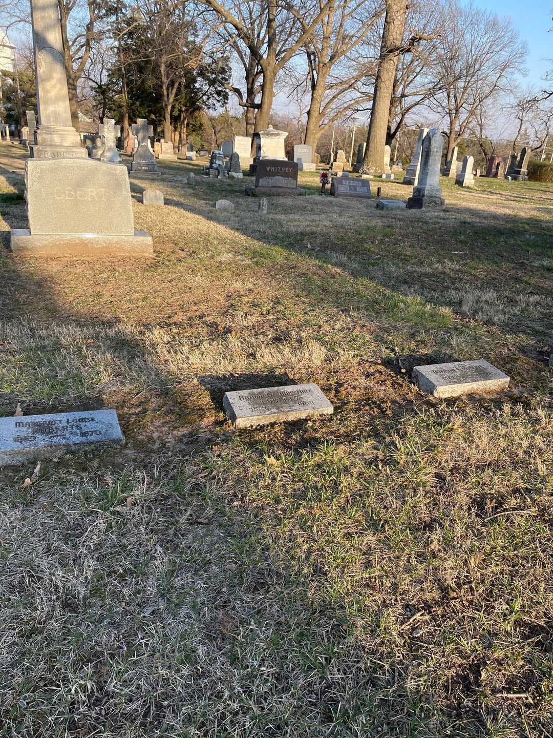 Antoinette Mac Hale Roberts's grave. Photo 2