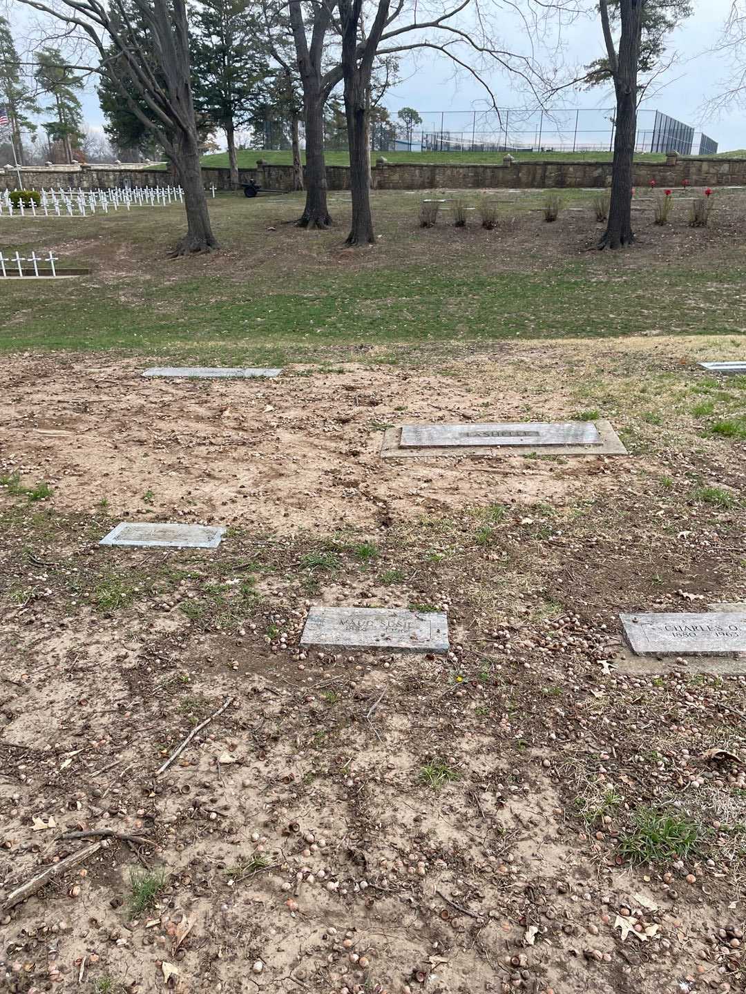 Maud Susie LaShelle's grave. Photo 2