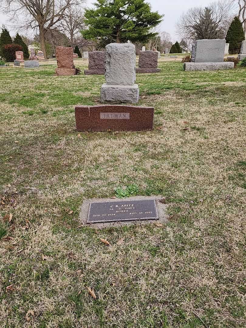 C. R. Apitz's grave. Photo 2