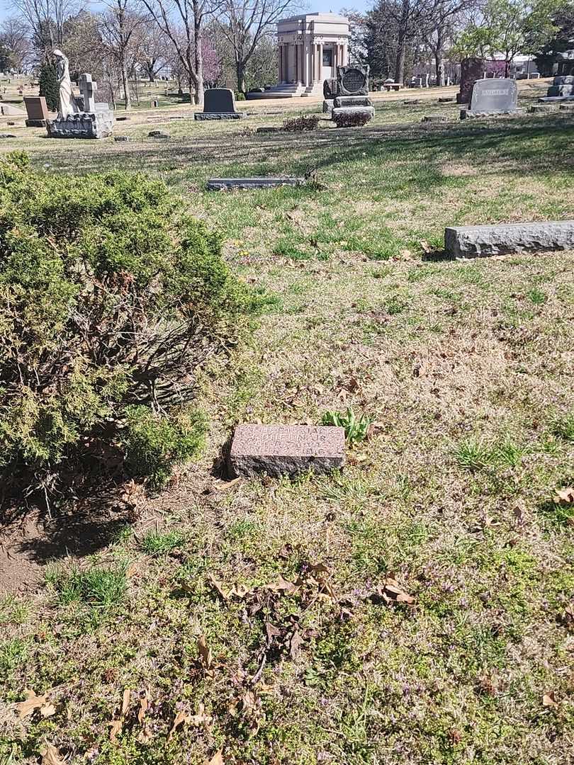Albert Jack Goheen Junior's grave. Photo 2