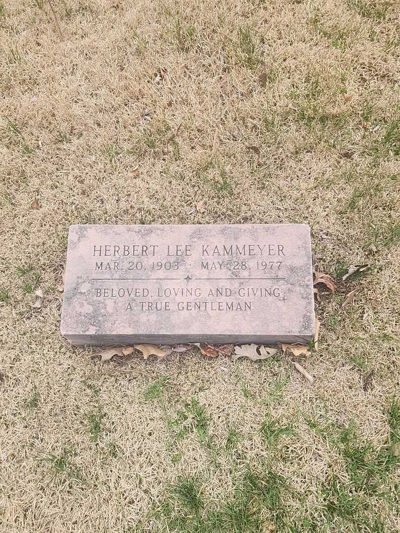 Herbert Lee Kammeyer's grave. Photo 3