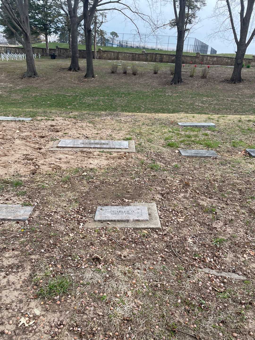 Charles O. LaShelle's grave. Photo 2