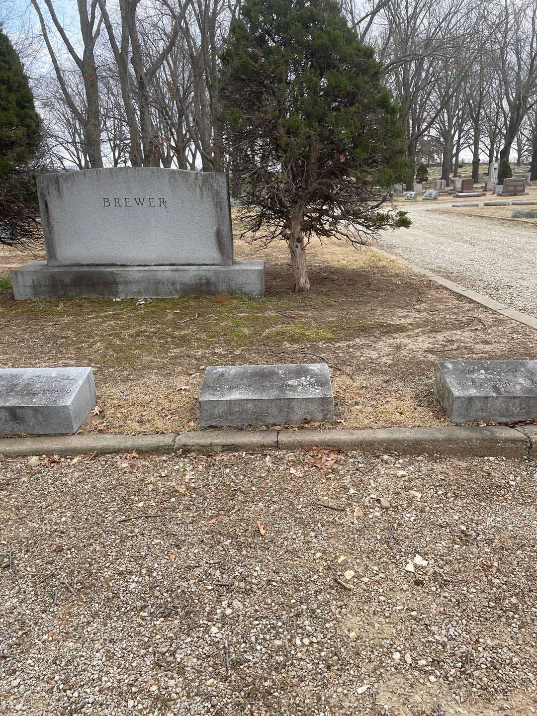 Verna A. Y. Brewer's grave. Photo 2