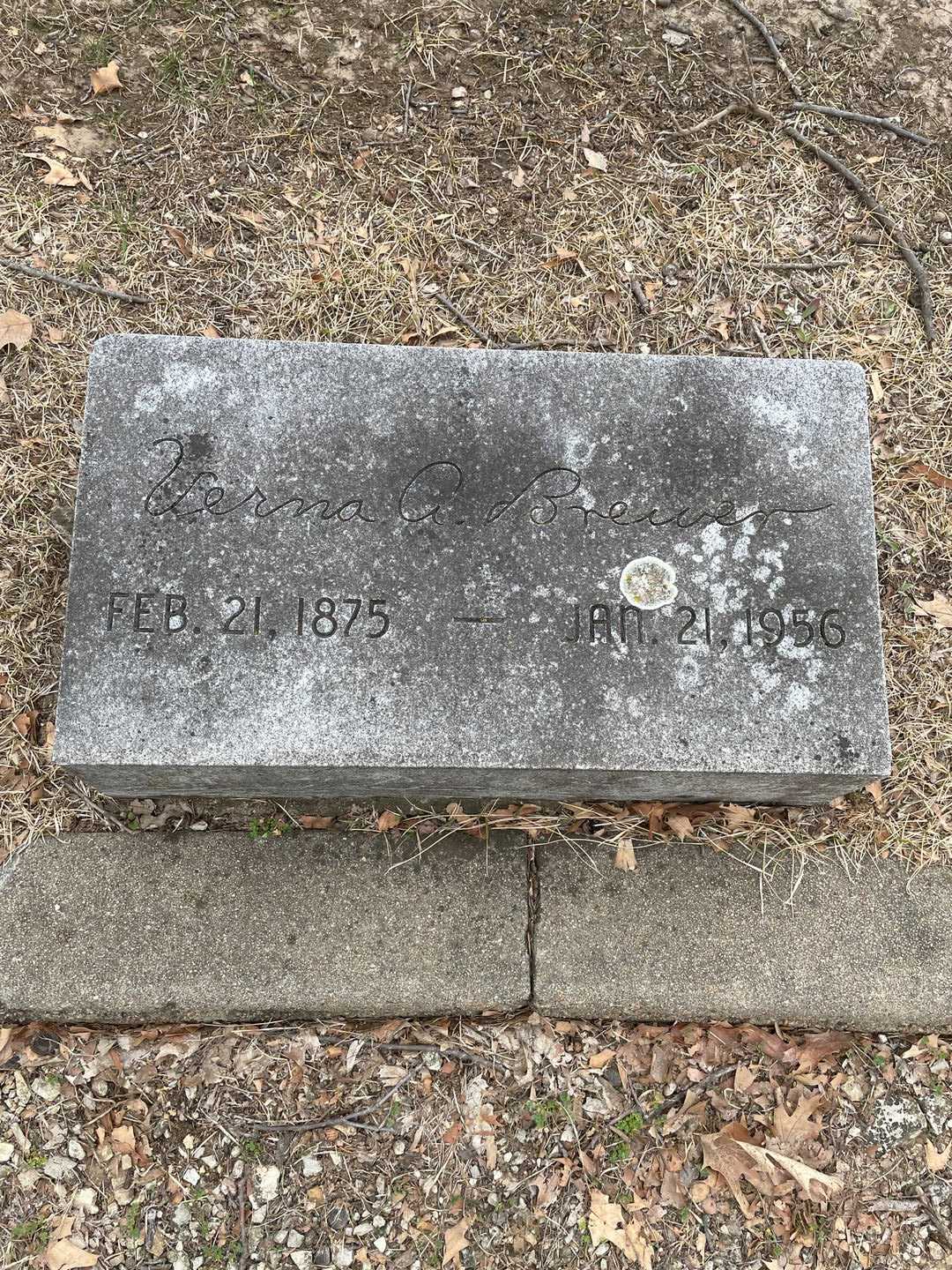 Verna A. Y. Brewer's grave. Photo 3
