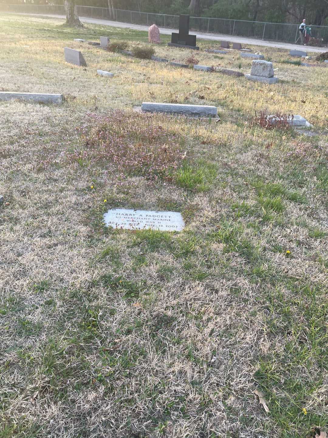 Harry Allen Padgett's grave. Photo 2