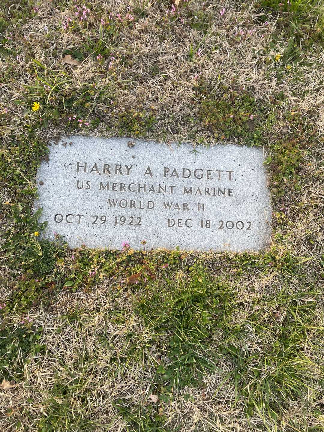 Harry Allen Padgett's grave. Photo 1