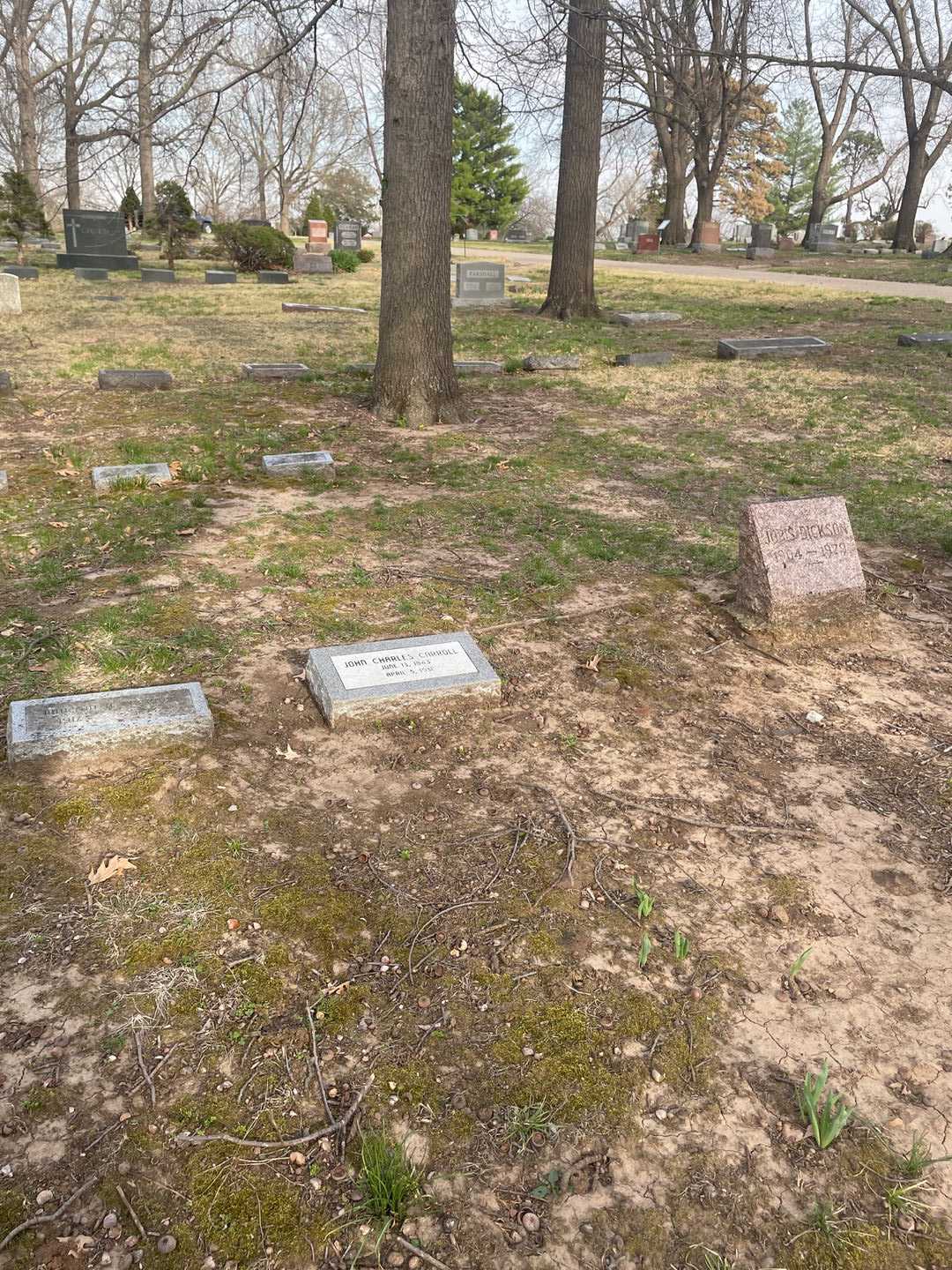 John Charles Carroll's grave. Photo 2