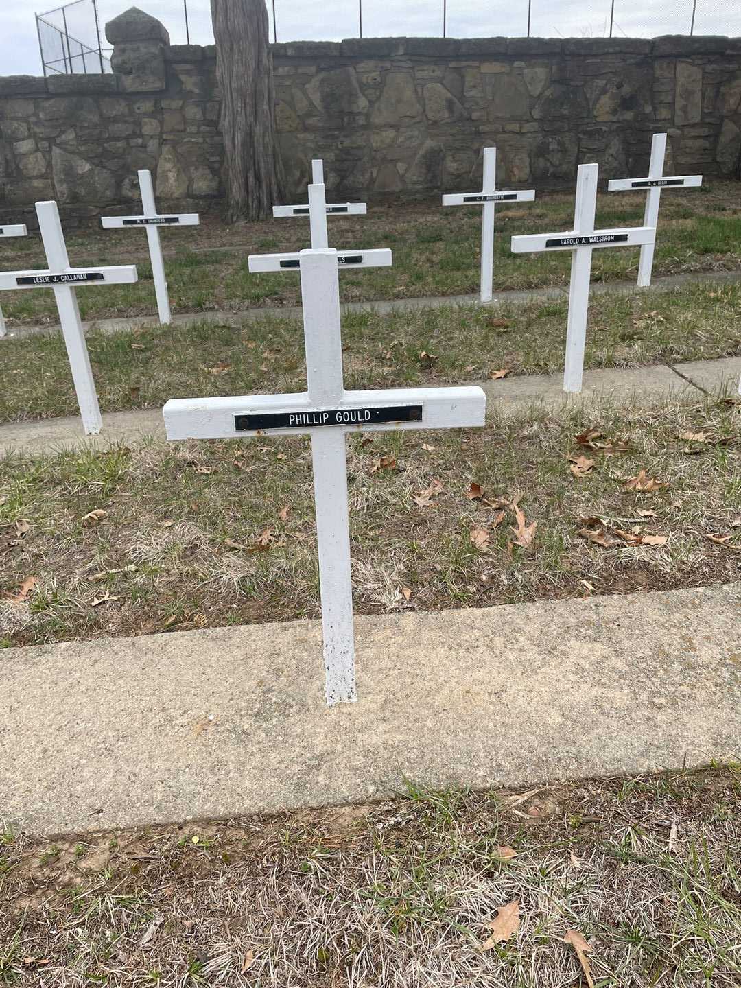 Phillip Gould's grave. Photo 3