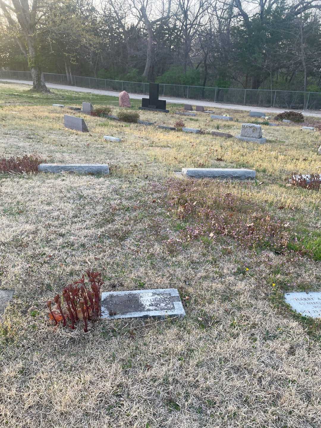 Missus/Madam Bessie A. Padgett's grave. Photo 2