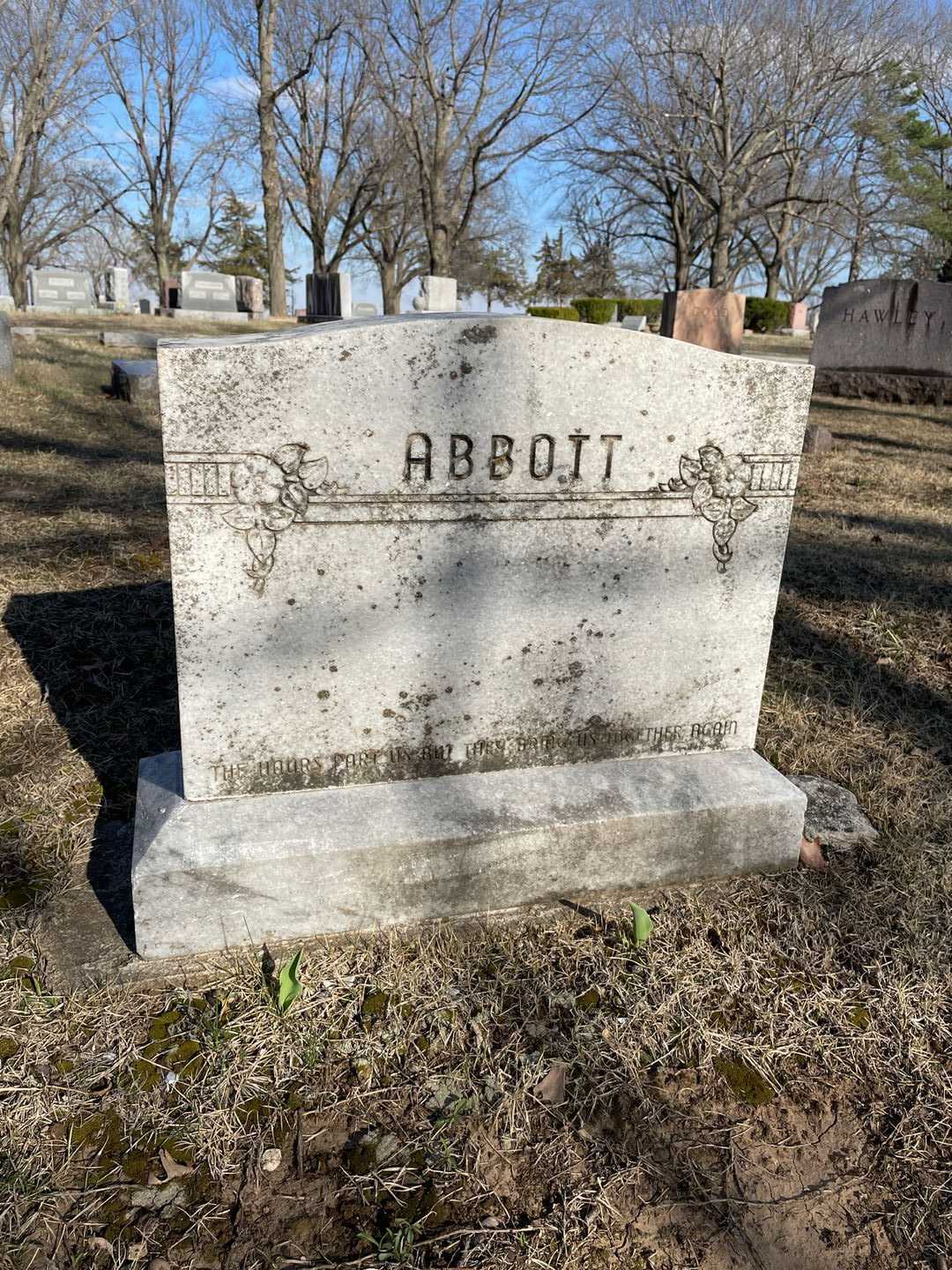 Anna Florence Abbott's grave. Photo 1