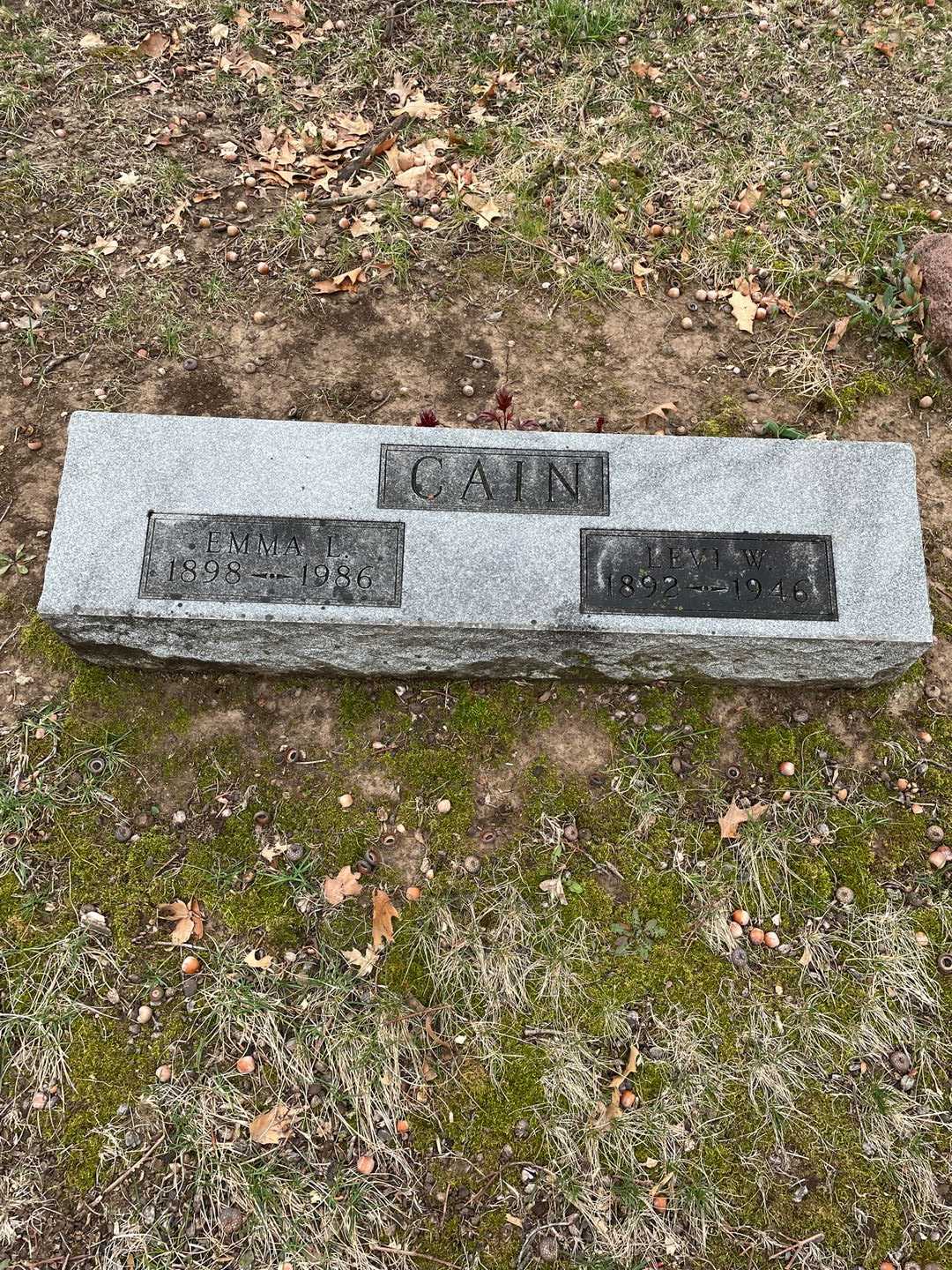 Levi W. Cain's grave. Photo 1