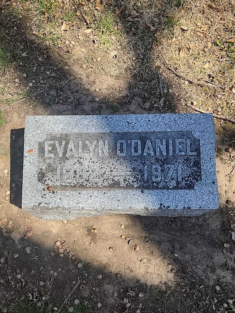 Evalyn A. O'Daniel's grave. Photo 3