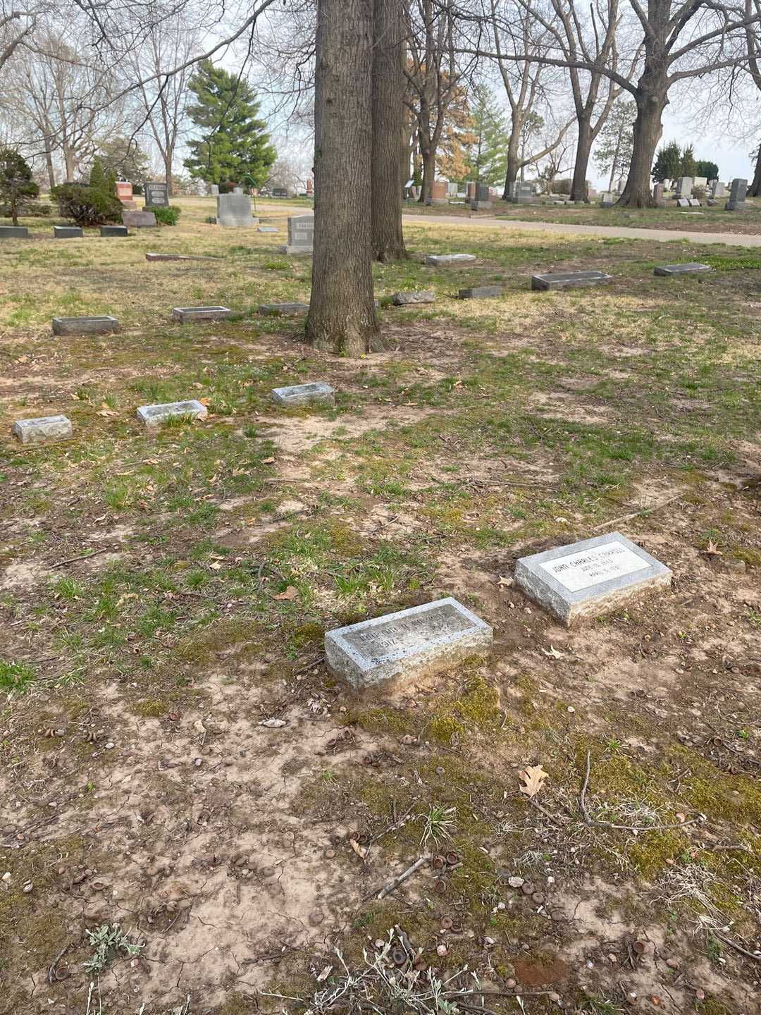 Martha Alice Carroll's grave. Photo 2