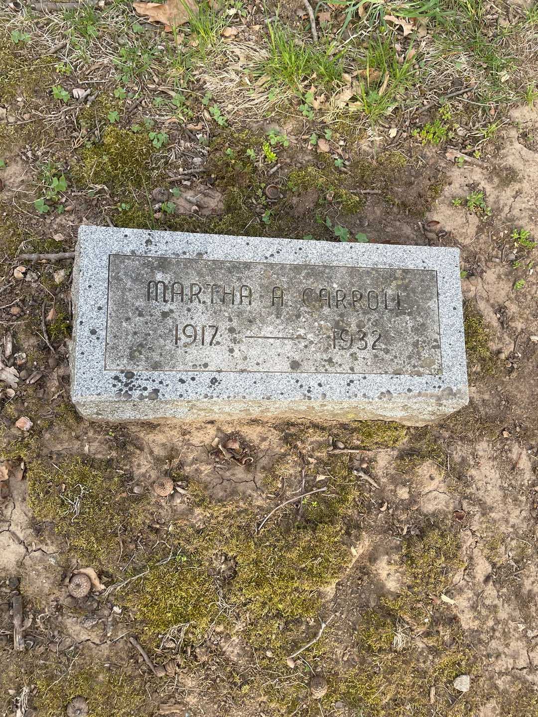 Martha Alice Carroll's grave. Photo 3