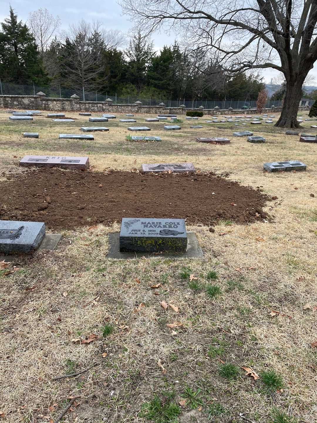 Marie Cole Navarro's grave. Photo 2