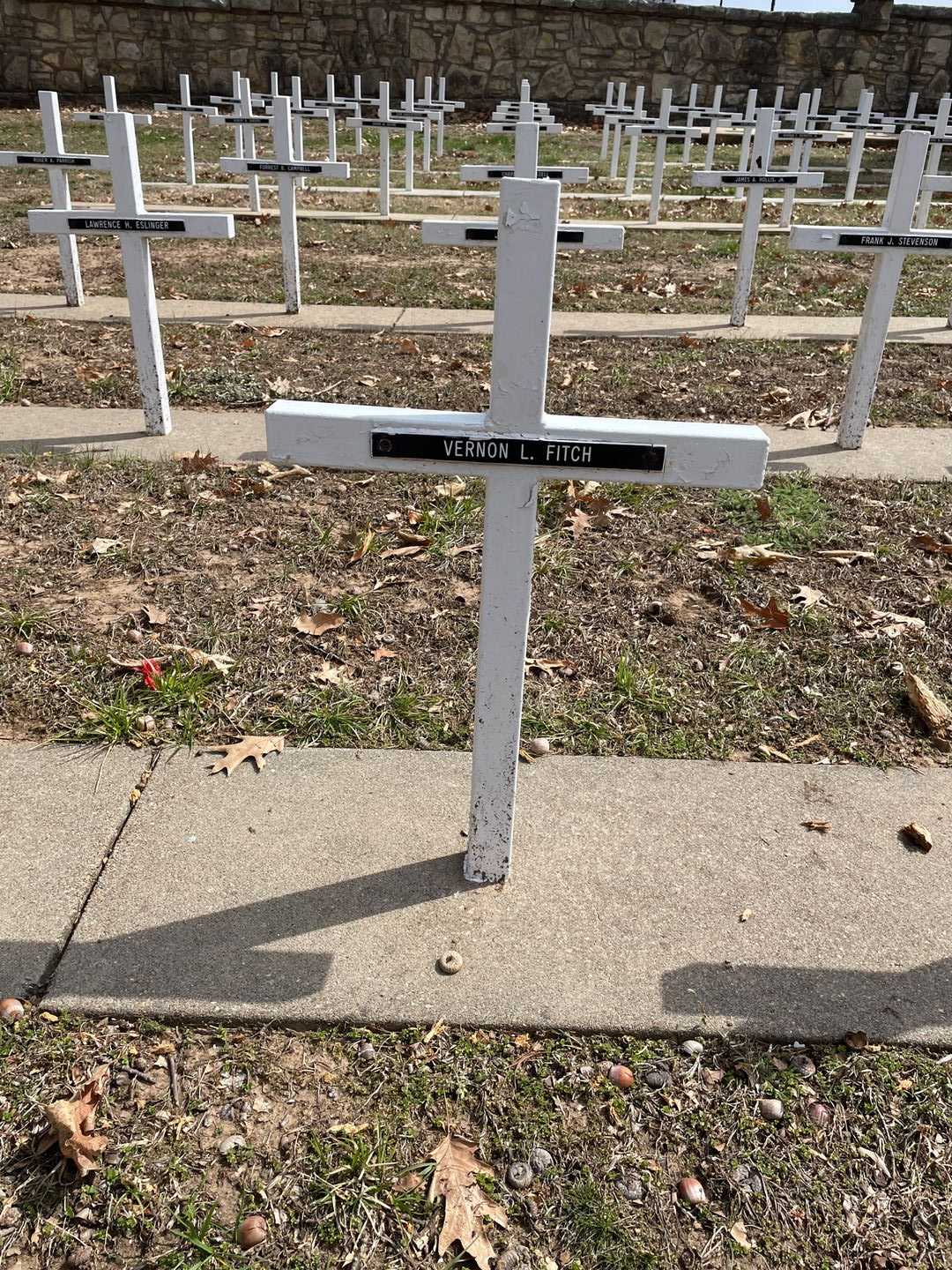 Vernon L. Fitch's grave. Photo 3