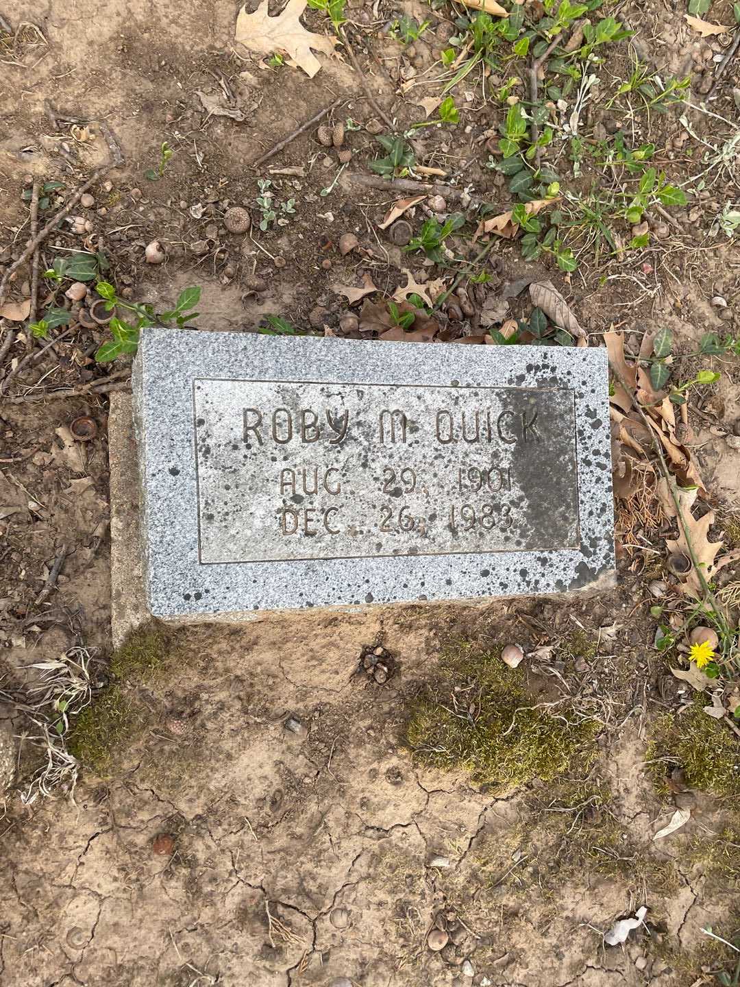 Roby M. Quick's grave. Photo 3