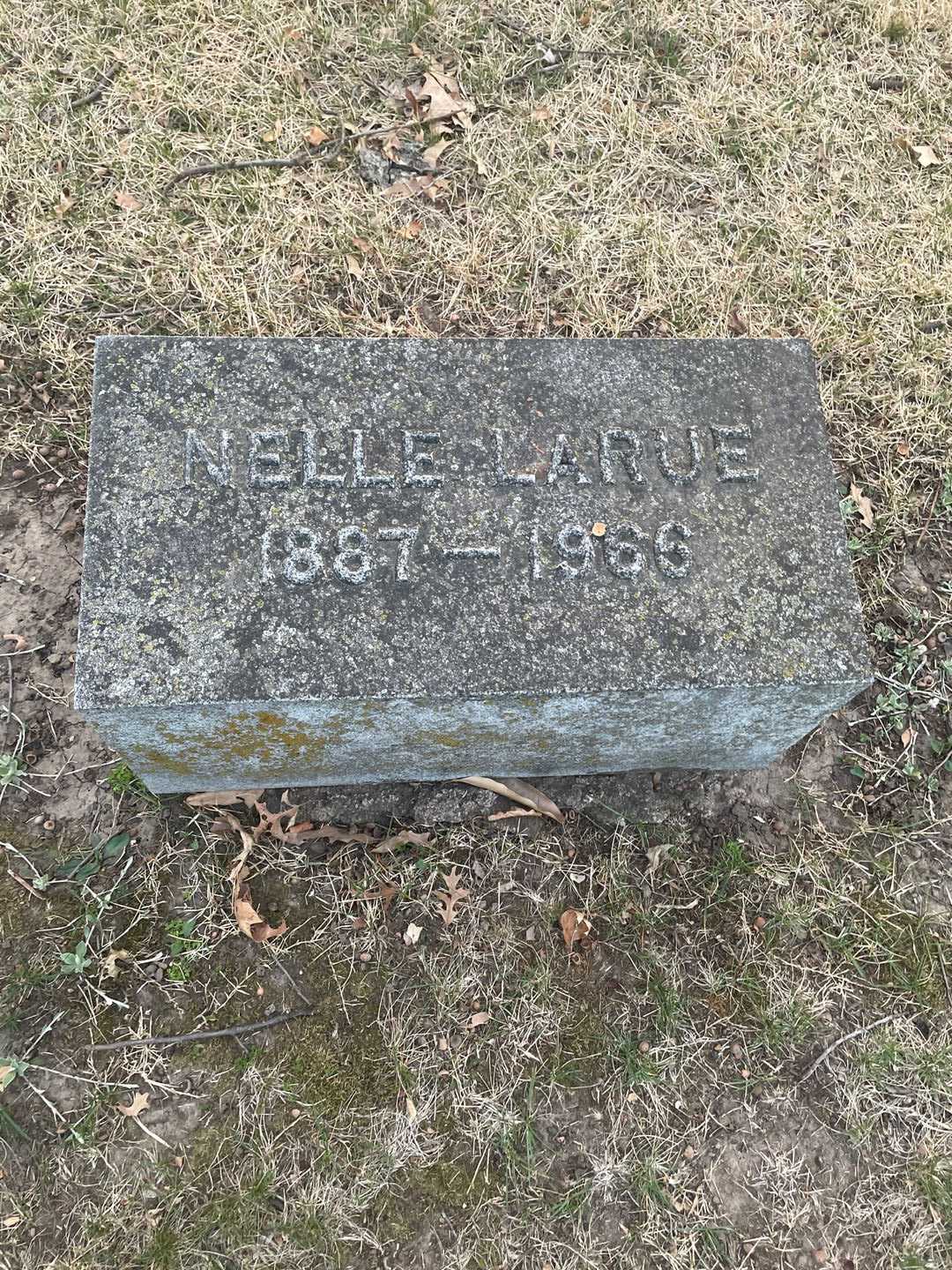 Nelle LaRue Wolf's grave. Photo 3