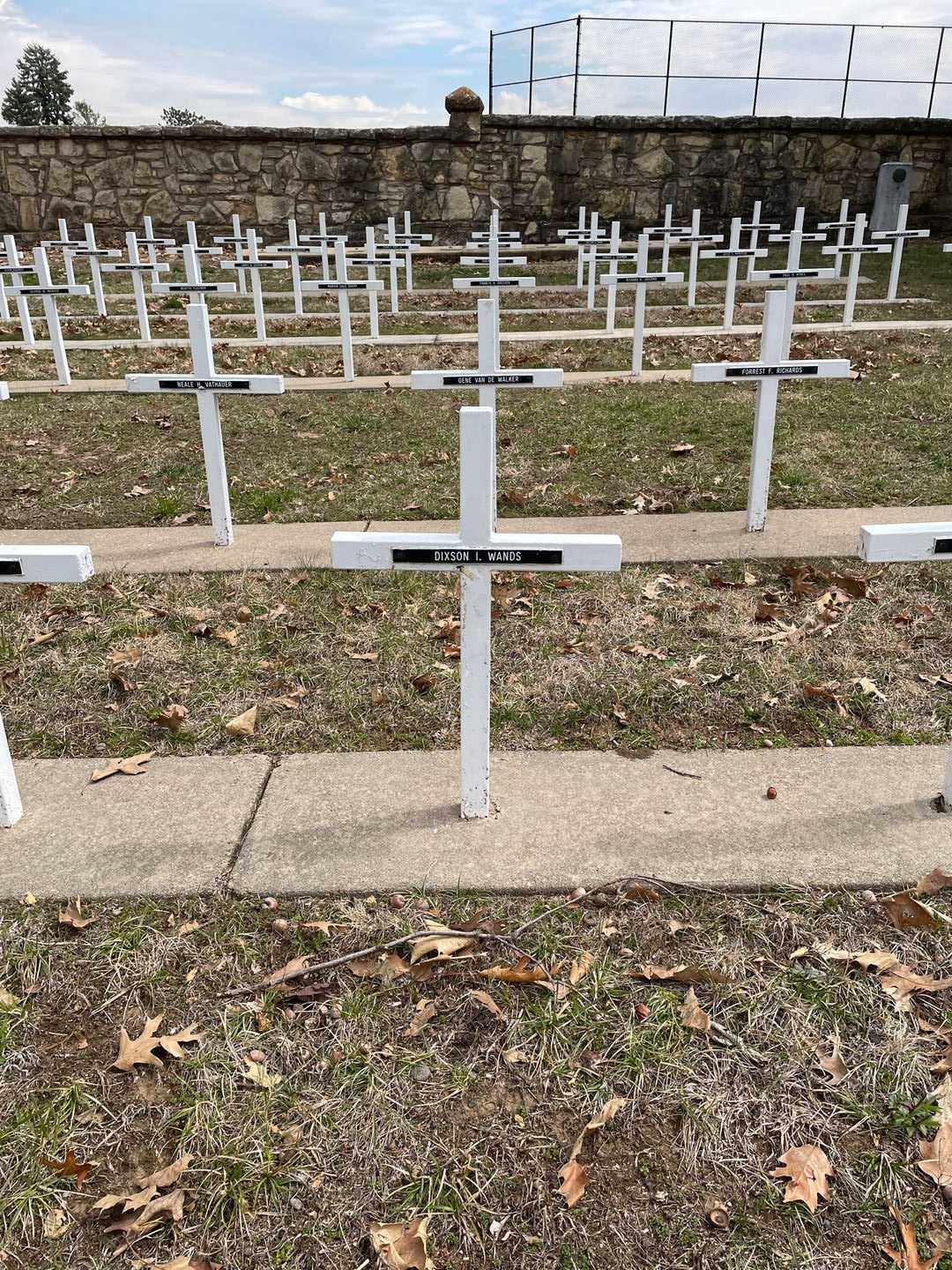 Dixson I. Wands's grave. Photo 2