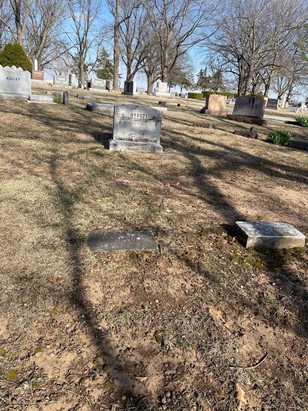 Anna Florence Abbott's grave. Photo 2