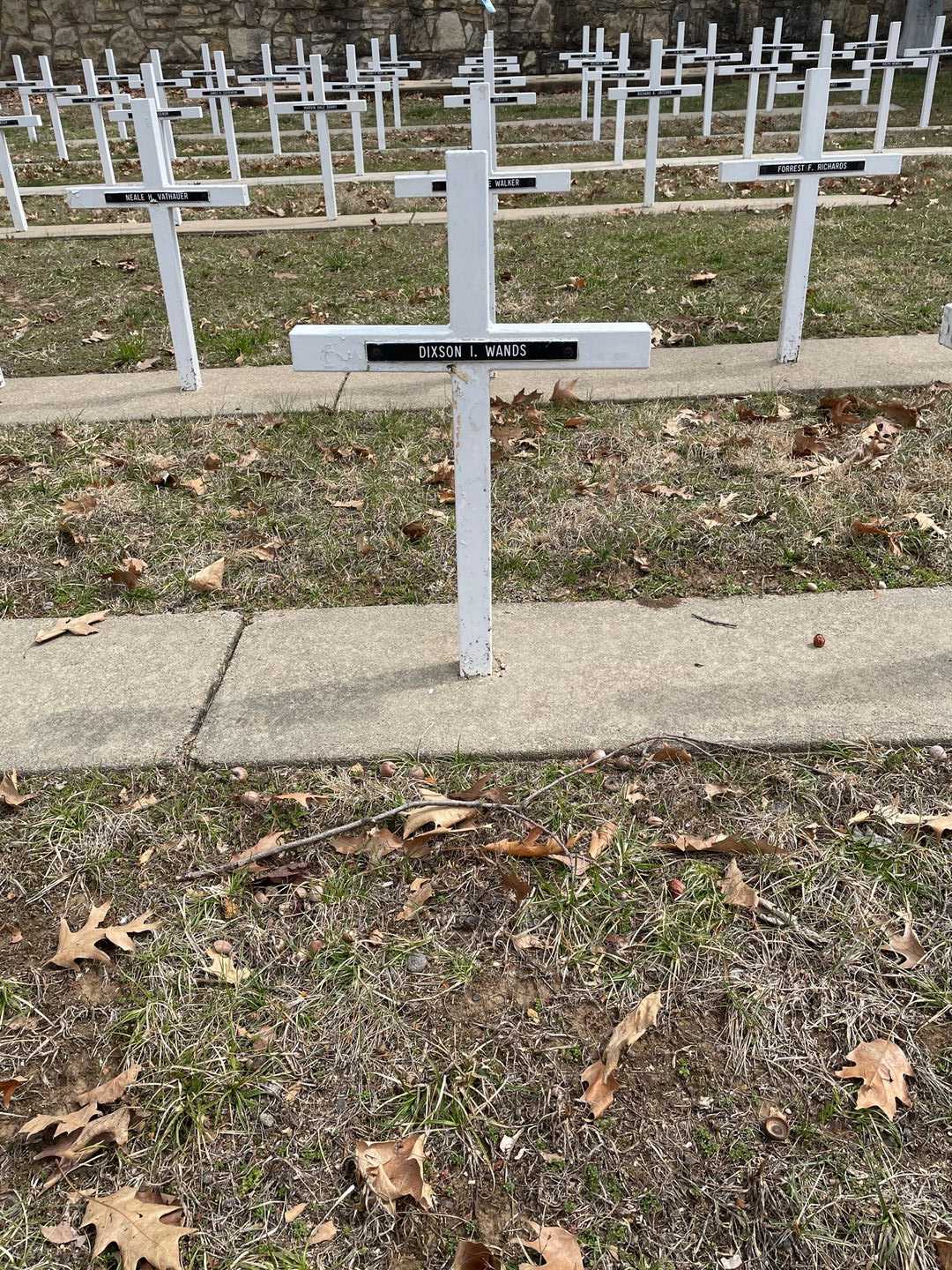Dixson I. Wands's grave. Photo 3