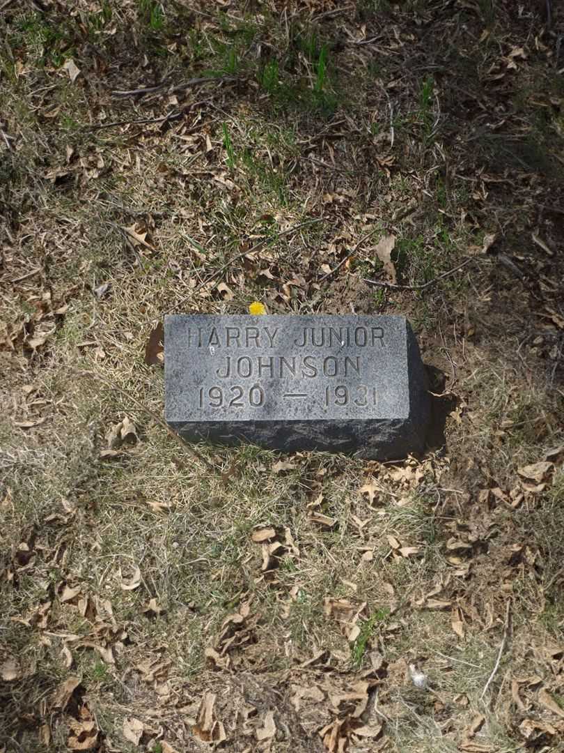 Harry F. Johnson Junior's grave. Photo 2
