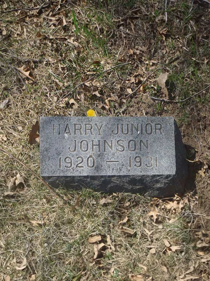 Harry F. Johnson Junior's grave. Photo 3