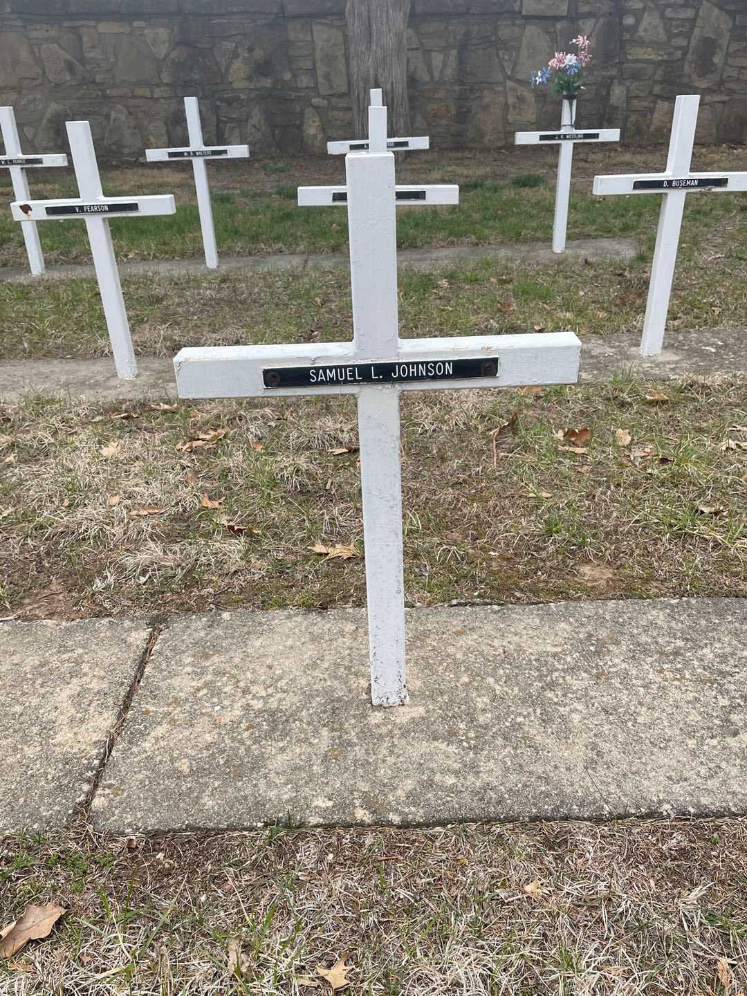 Samuel L. Johnson's grave. Photo 3