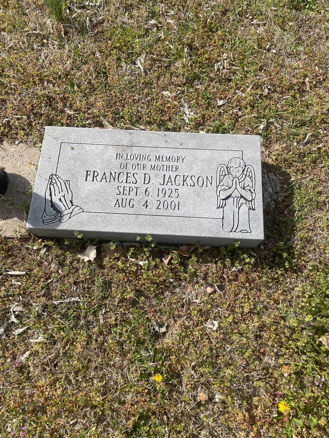 Frances D. Jackson's grave. Photo 1