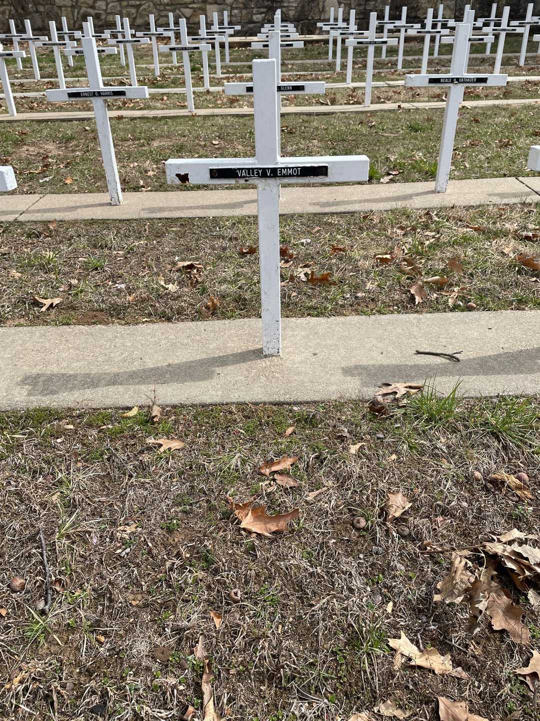 Valley V. Emmot's grave. Photo 3
