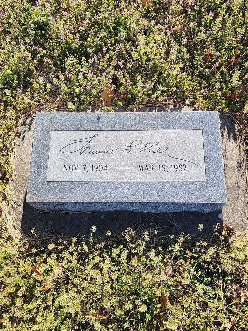Maurice S. Hill's grave. Photo 3