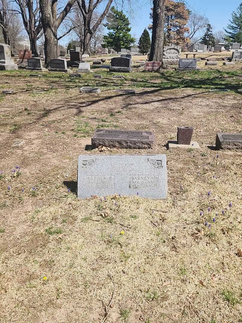 Barney J. Iles's grave. Photo 2