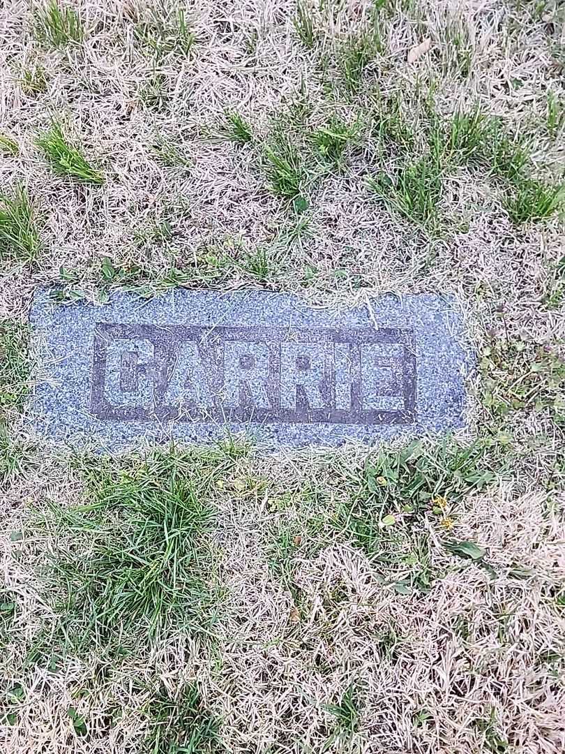 Carrie Bell Eakin's grave. Photo 3
