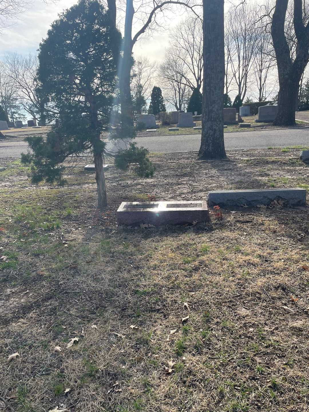 Missus/Madam Frances Paddock's grave. Photo 2