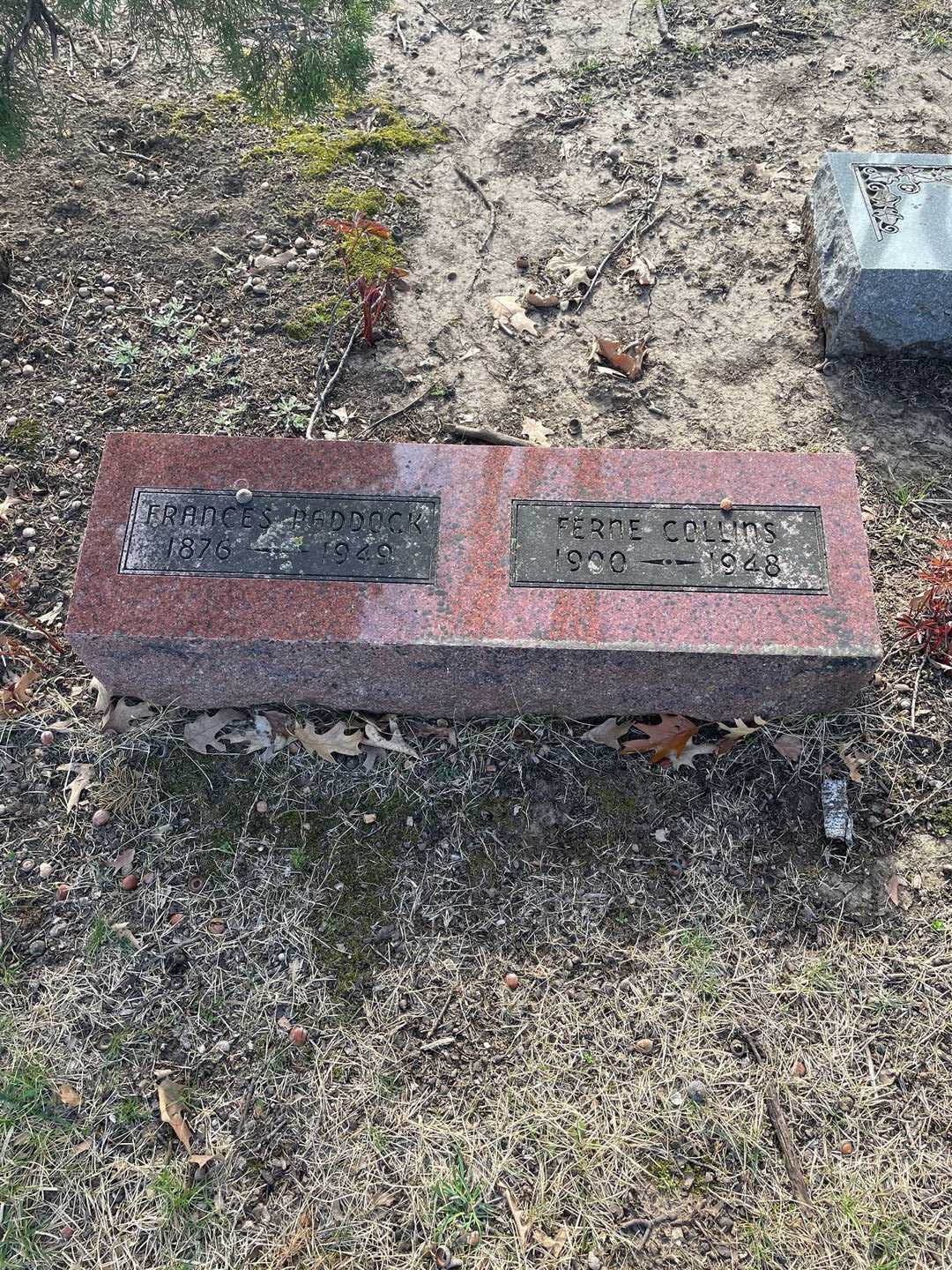 Missus/Madam Frances Paddock's grave. Photo 1