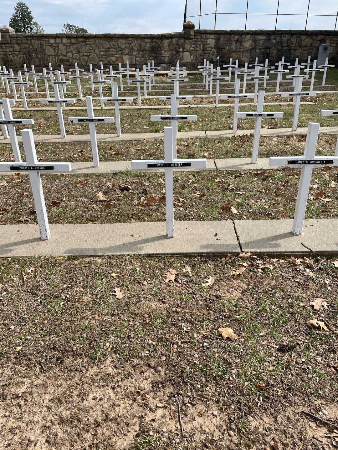 Wayne E. Webster's grave. Photo 2